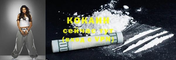 тгк Бердск