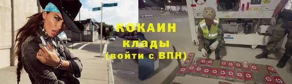 бошки Медногорск
