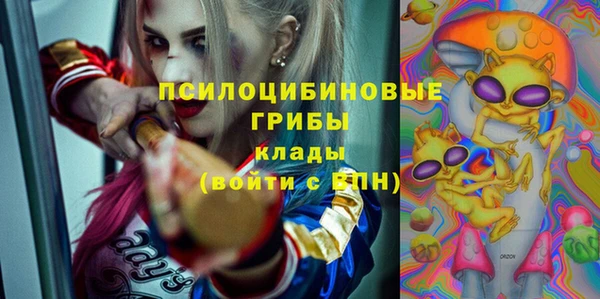мдпв Мегион