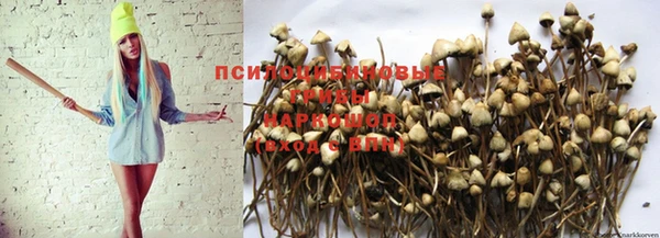 мяу мяу кристалл Медвежьегорск