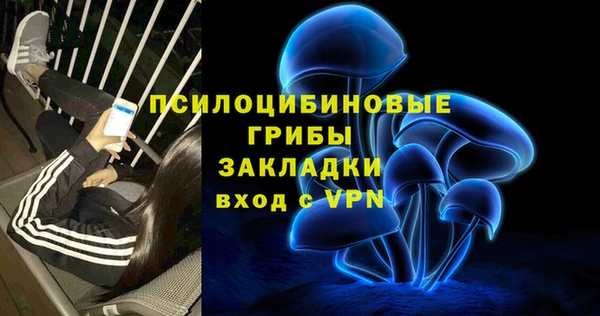 бошки Медногорск