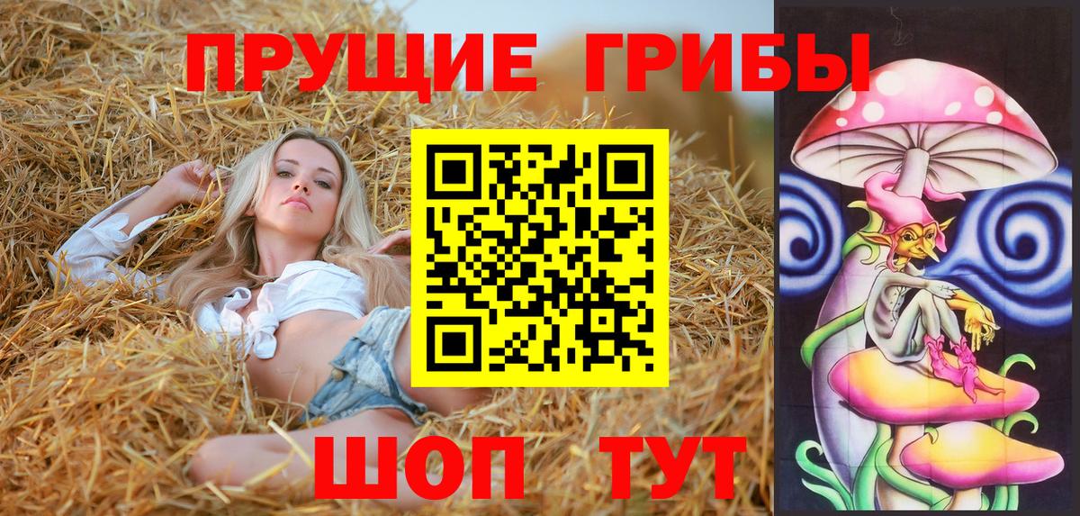 Псилоцибиновые грибы Cubensis Ялуторовск